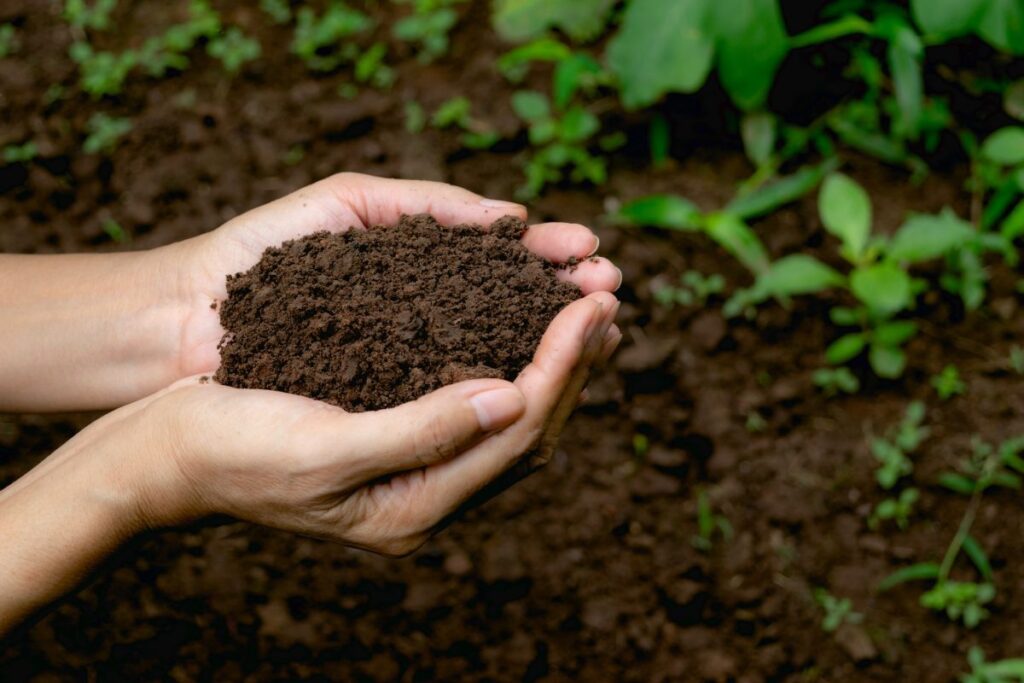 Vermicompost Online