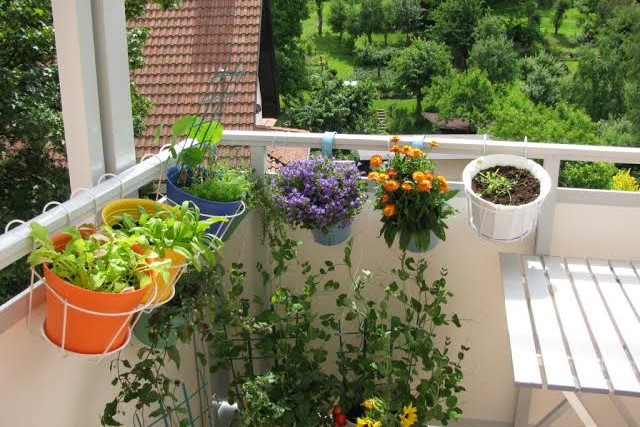 Balcony Gardening