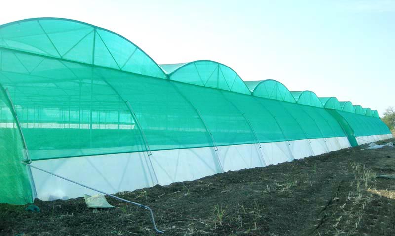 Gardens shade nets