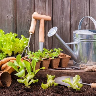 Gardening Tools