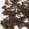 Papaya Seeds - பப்பாளி - Image 2