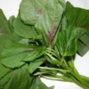 Purple Amaranthus	Seeds -முளைக்கீரை - Image 4