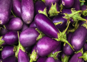 Purple Brinjal Seeds-ஊதா கத்திரி - Image 4