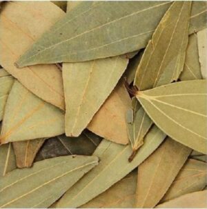 Cinnamon (Bay Leaf) - Tamala Patram Live Plant - Image 4