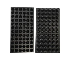 Seedling Nursery Tray with 72 Cavity for Home & Garden (Pack of 5) - Image 2