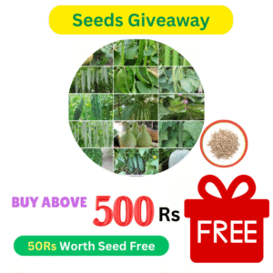 Buy Above 500Rs Free Seeds (Mixture Of 3 Seeds Pack)