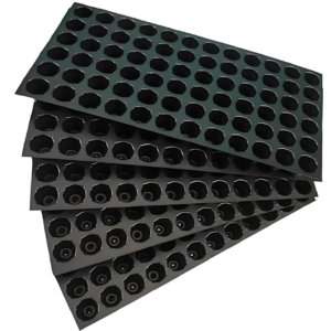 Seedling Nursery Tray with 72 Cavity for Home & Garden (Pack of 5)