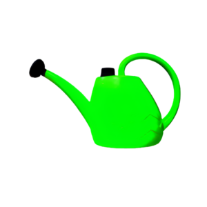 2L Watering Can for Lush Gardens – Green