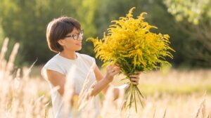 Goldenrod Flower-Daisy Live Plant - Image 7