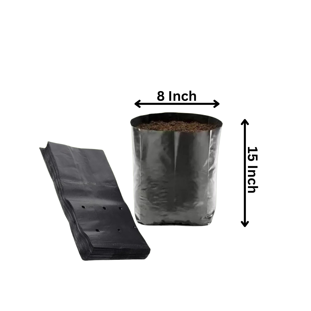 Black Grow bag 8x15 Inch (10 PCS)