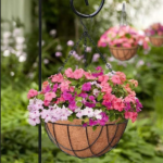 8 Inch Coir Hanging Pot