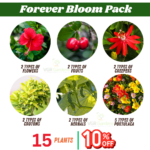 Forever Bloom Pack Combo Live Plant
