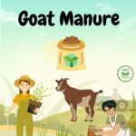 Goat Manure Fertilizer - 1kg